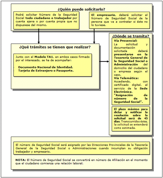 Foto-resumen-pasos-a-seguir
